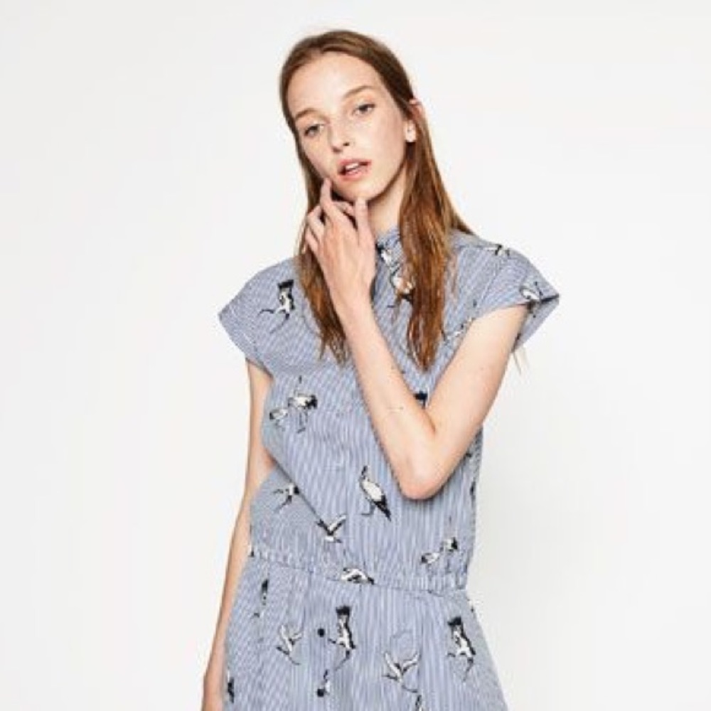 Zara Striped Crane Shirt